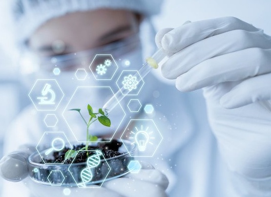 Нормативно-правовые акты Российской Федерации касающиеся сферы органов внутренних дел
